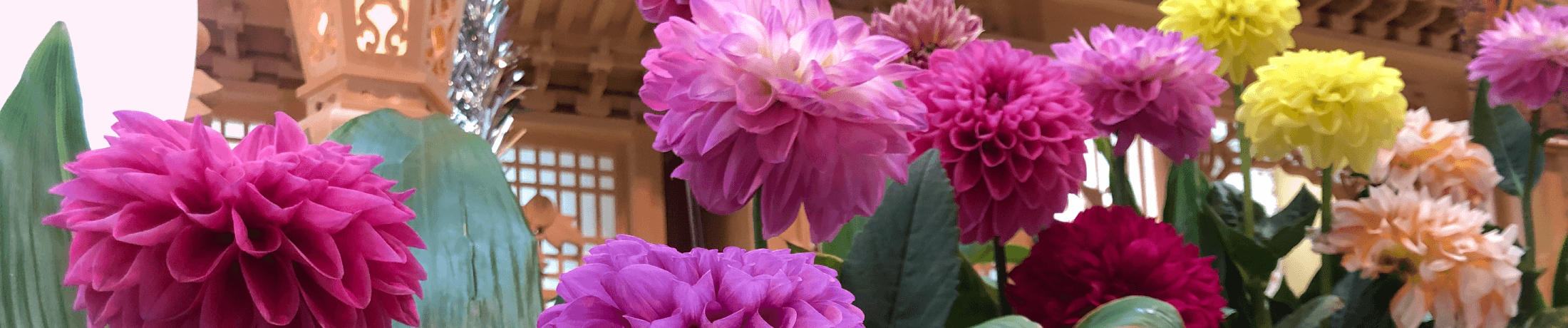 よこてシティホール供花