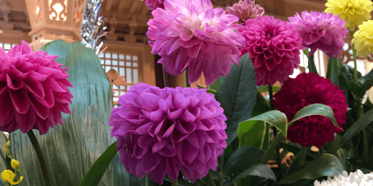 よこてシティホール供花